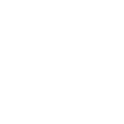 windows icon