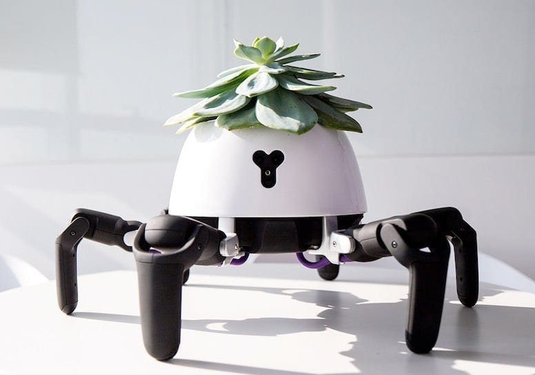 plant robot